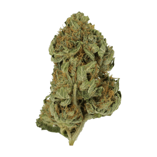 Bubblegum – 1 ounce | Hush Cannabis Club Canada