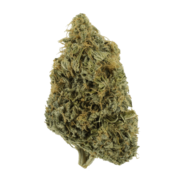NYC Diesel | Hush Cannabis Club Canada