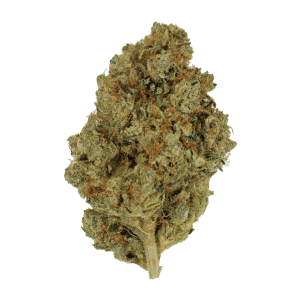 Nepalese | Hush Cannabis Club Canada