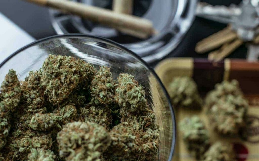 Premium cannabis vs Affordable Weed | Hush Cannabis Club Canada