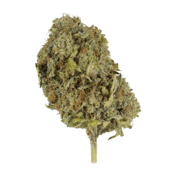 Chemo | Hush Cannabis Club Canada