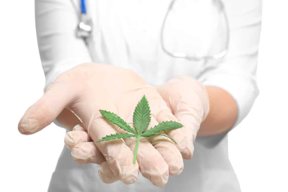 Cannabis as a natural cure for pain | Hush Cannabis Club Canada