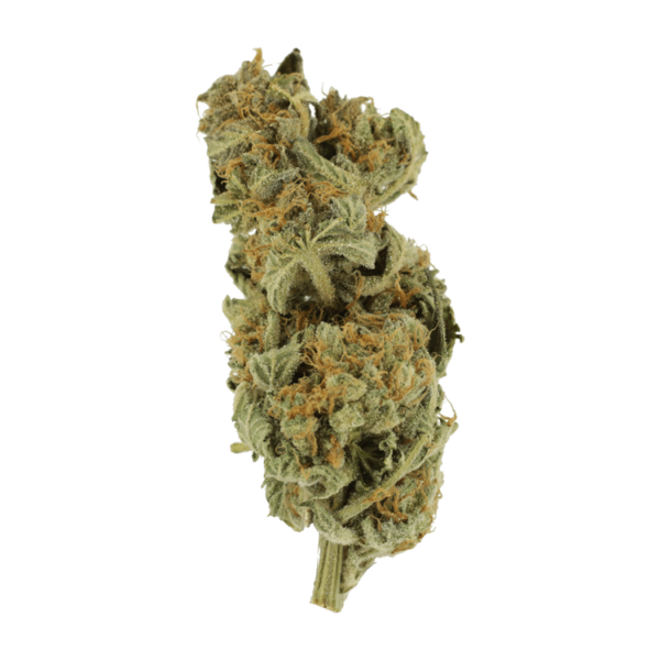 Gorilla Glue | Hush Cannabis Club Canada