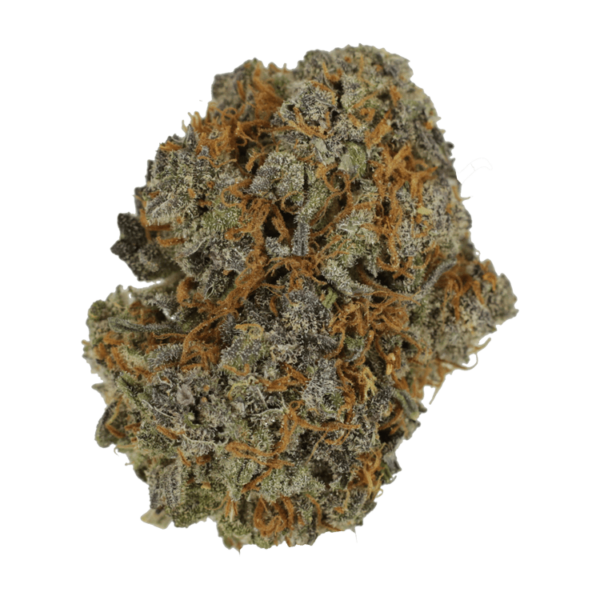 Jack Herer 1 Ounce | Hush Cannabis Club Canada