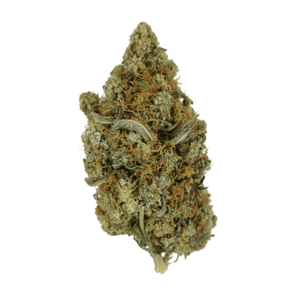 Jack Herer 1 Ounce | Hush Cannabis Club Canada