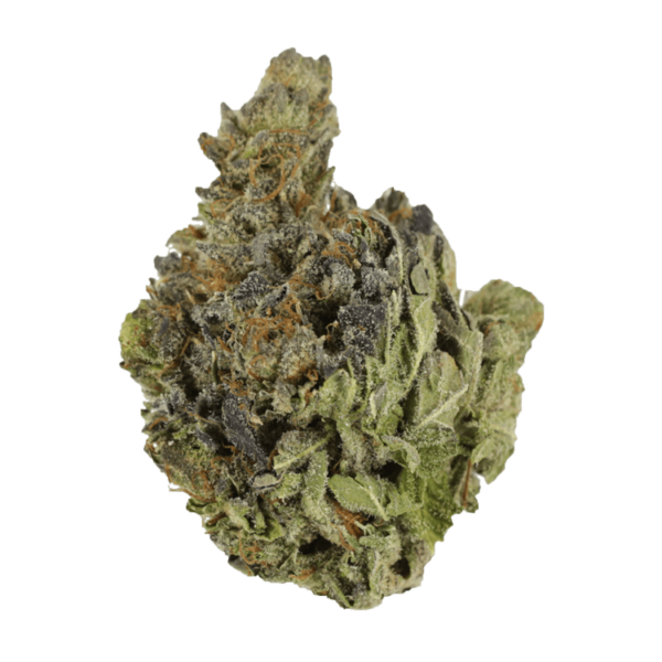 Chocolope | Hush Cannabis Club Canada