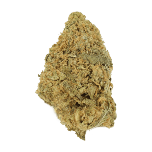 Zombie OG | Hush Cannabis Club Canada