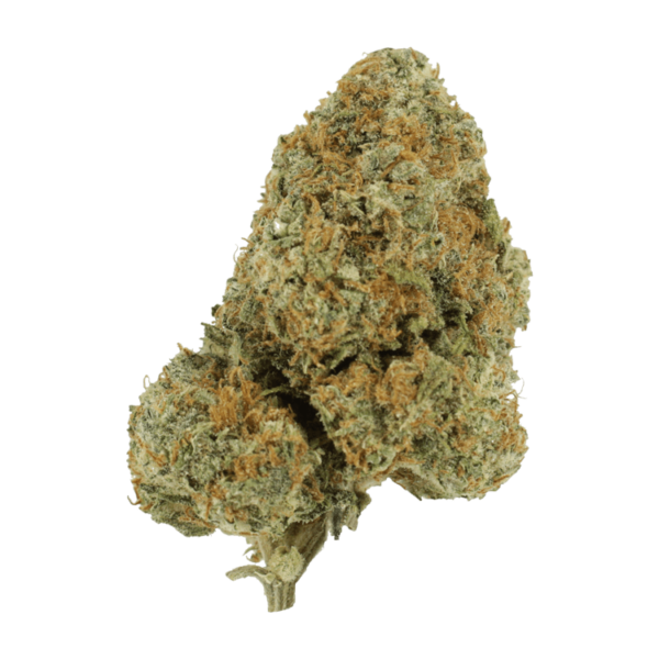 Blue Rhino | Hush Cannabis Club Canada