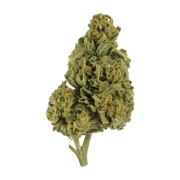 Blackwater | Hush Cannabis Club Canada