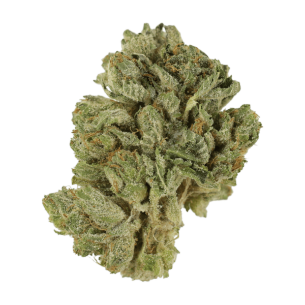 Northern Lights 2 for $69 | Hush Cannabis Club Canada