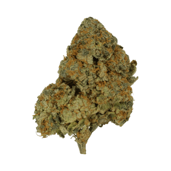 9lb Hammer | Hush Cannabis Club Canada