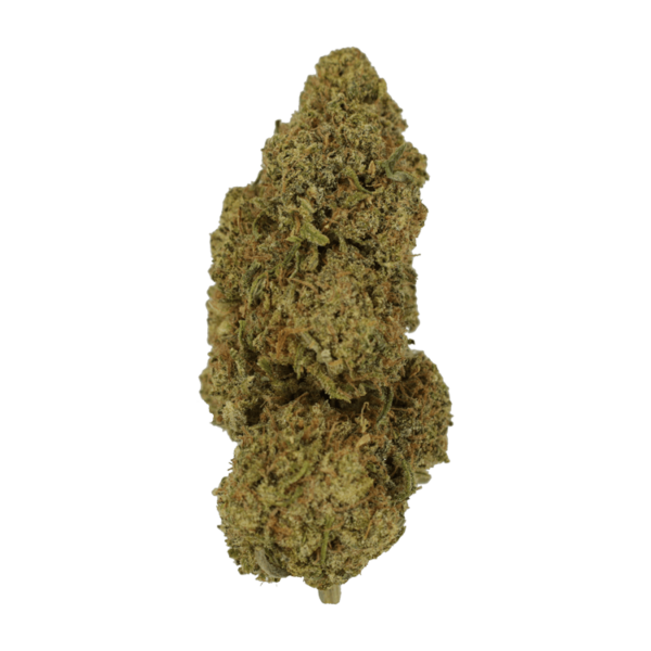 9lb Hammer | Hush Cannabis Club Canada