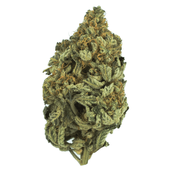 Bakerstreet | Hush Cannabis Club Canada