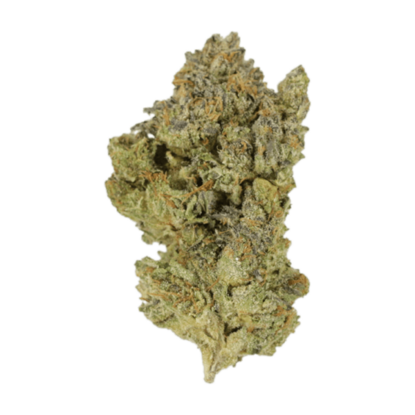 Golden Goat | Hush Cannabis Club Canada