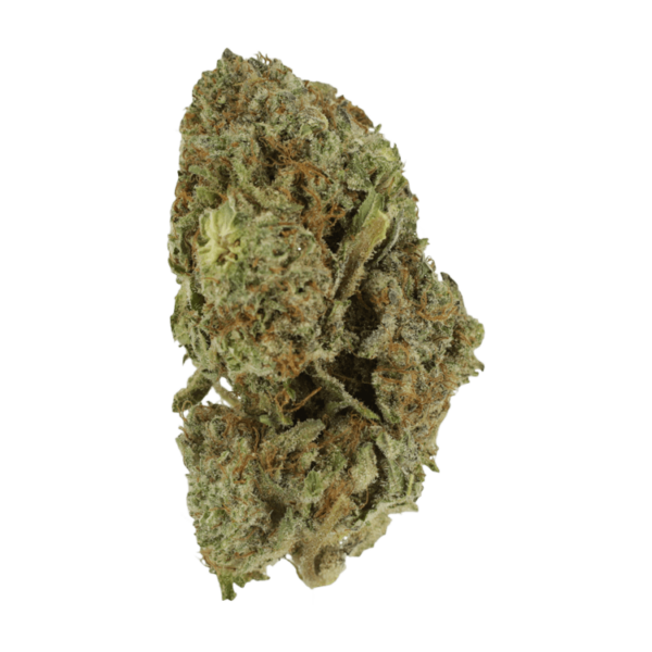 Gelato Sorbet – 1 ounce | Hush Cannabis Club Canada