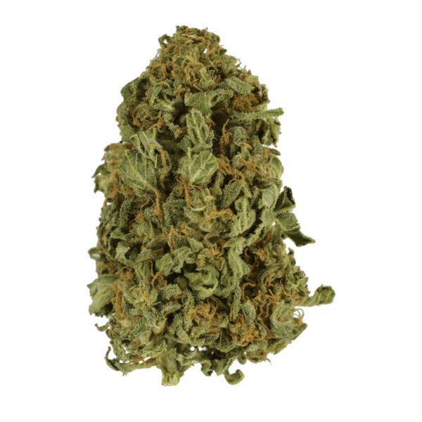 Apricot Kush – $35/oz | Hush Cannabis Club Canada