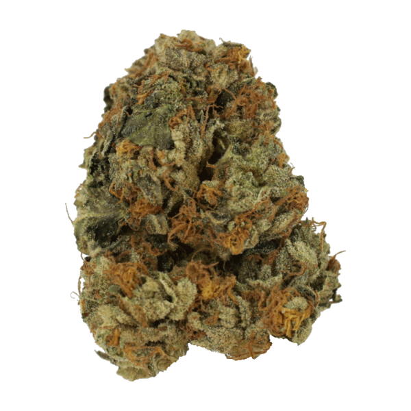 Dolato – 1OZ | Hush Cannabis Club Canada