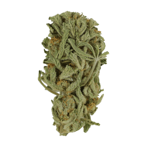 Master Kush Ultra | Hush Cannabis Club Canada