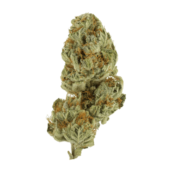 Strawberry Glue | Hush Cannabis Club Canada