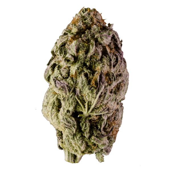 Durban Cookies | Hush Cannabis Club Canada