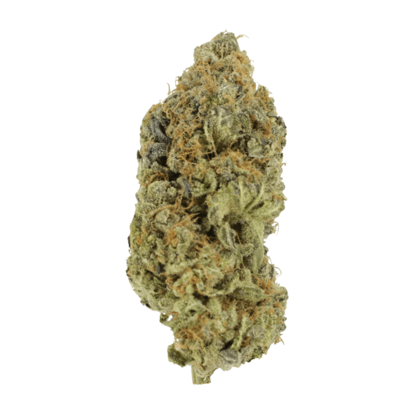 Critical Widow | Hush Cannabis Club Canada