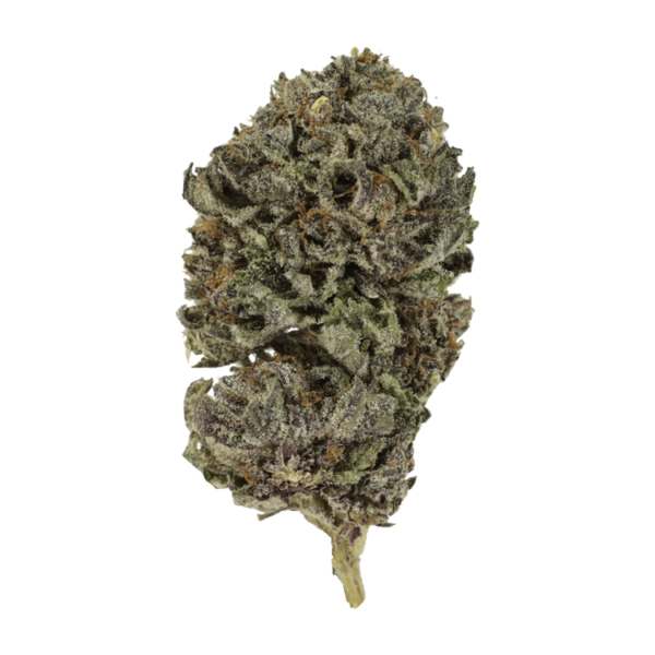 Purple Skunk | Hush Cannabis Club Canada