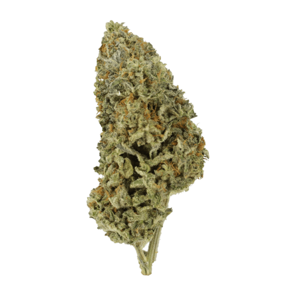 Super Silver Sour Diesel | Hush Cannabis Club Canada