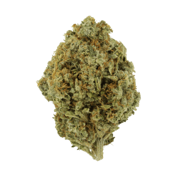 Orange Barb | Hush Cannabis Club Canada