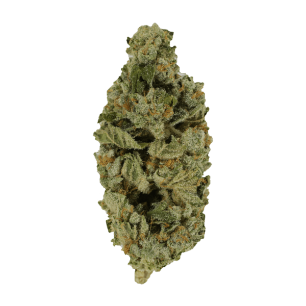 Crazy Glue | Hush Cannabis Club Canada