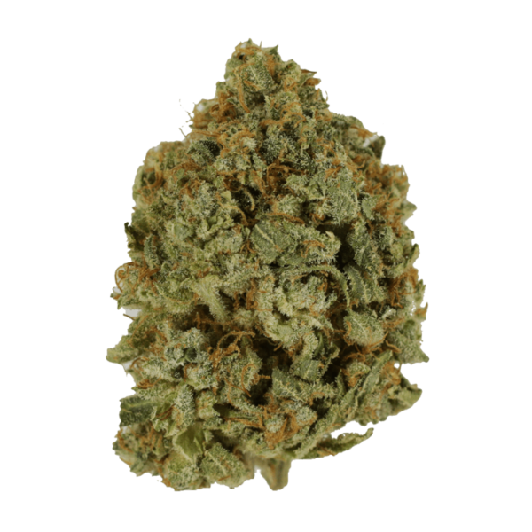 Crazy Glue | Hush Cannabis Club Canada