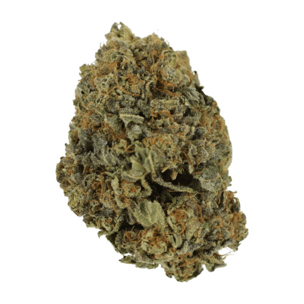 White Shark – 1 ounce | Hush Cannabis Club Canada