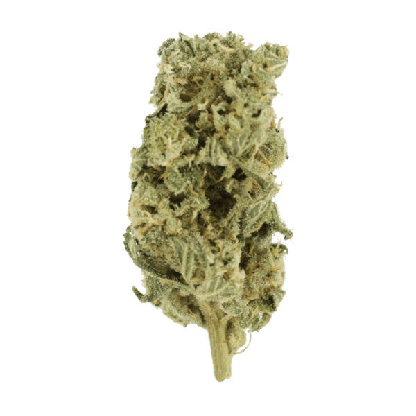 Romulan Hashplant | Hush Cannabis Club Canada