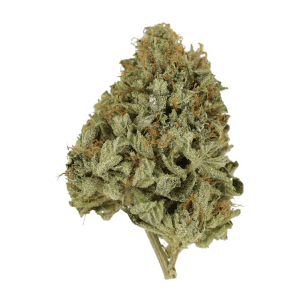 Pineapple Kush | Hush Cannabis Club Canada