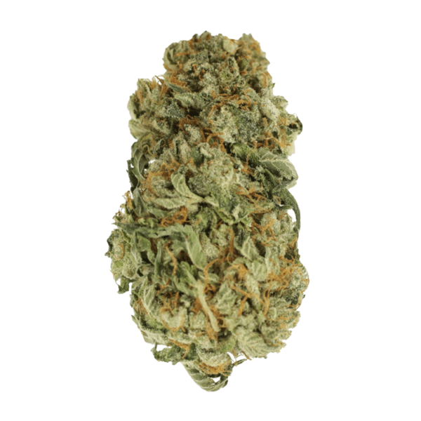 King Louis – 1 ounce | Hush Cannabis Club Canada