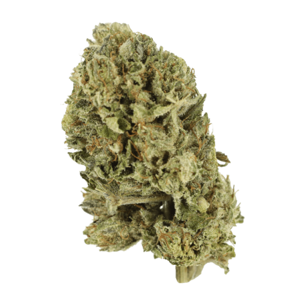 Purple OG Kush – 1 ounce | Hush Cannabis Club Canada