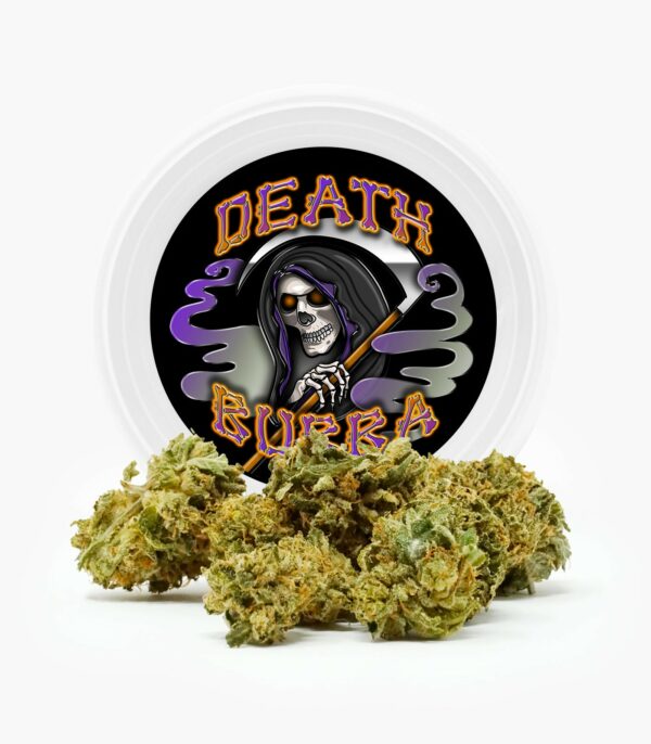 Westcoast Cali Tins – Premium Flower – Skywalker OG – 3.5g | Hush Cannabis Club Canada