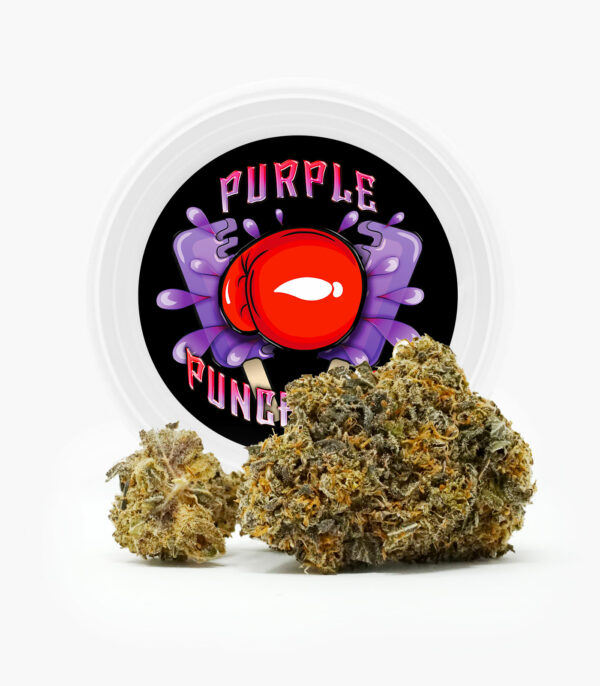 Westcoast Cali Tins – Premium Flower – Purple Punchsicle – 14g | Hush Cannabis Club Canada