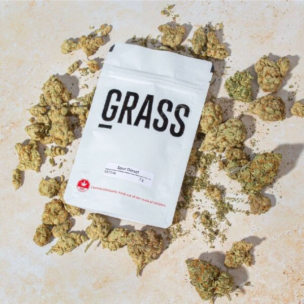 1/2OZ Sample Pack (AAA) – SAVE 20% | Hush Cannabis Club Canada