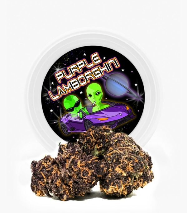Westcoast Cali Tins – Premium Flower – Purple Lamborghini – 3.5g | Hush Cannabis Club Canada
