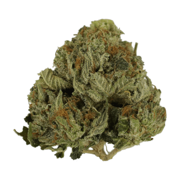 Pink Animal – 1 ounce | Hush Cannabis Club Canada