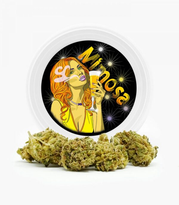 Westcoast Cali Tins – Premium Flower – Mimosa – 3.5g | Hush Cannabis Club Canada