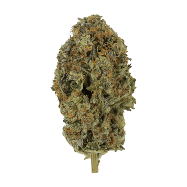 Acapulco Gold | Hush Cannabis Club Canada