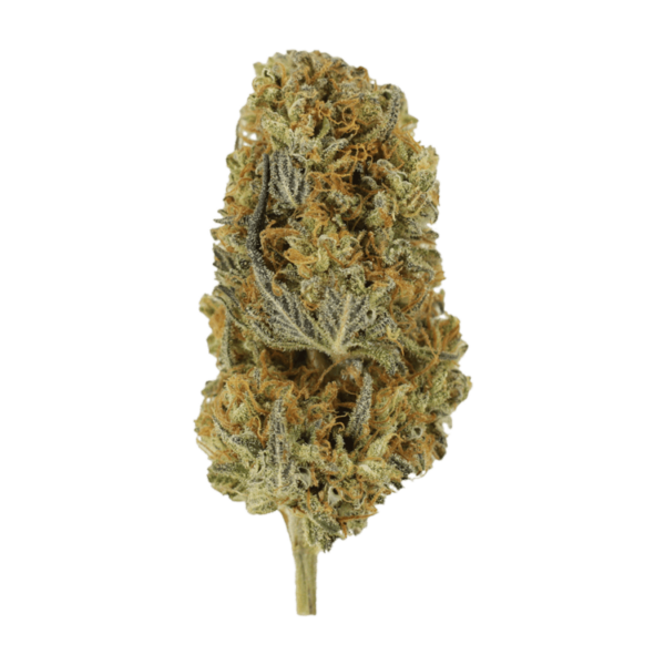 Headband | Hush Cannabis Club Canada