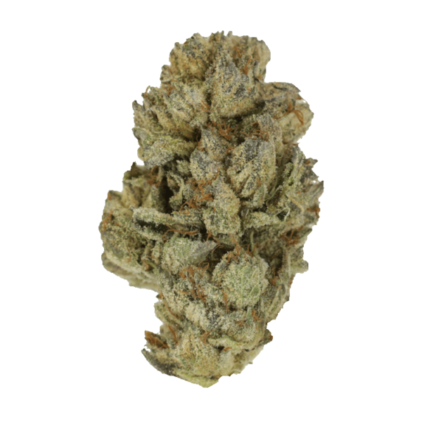 Pink Candy Kush | Hush Cannabis Club Canada