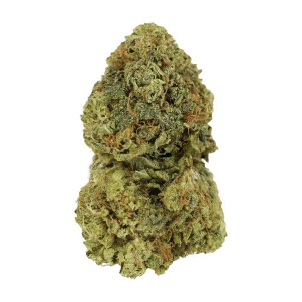Critical Mass | Hush Cannabis Club Canada