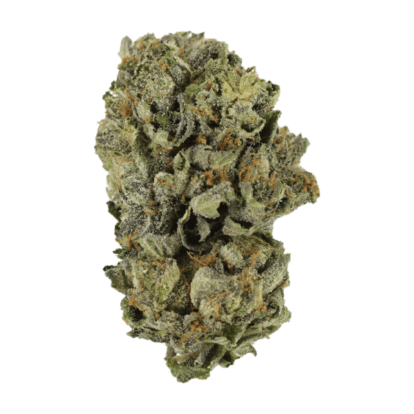 Cerebro Haze | Hush Cannabis Club Canada