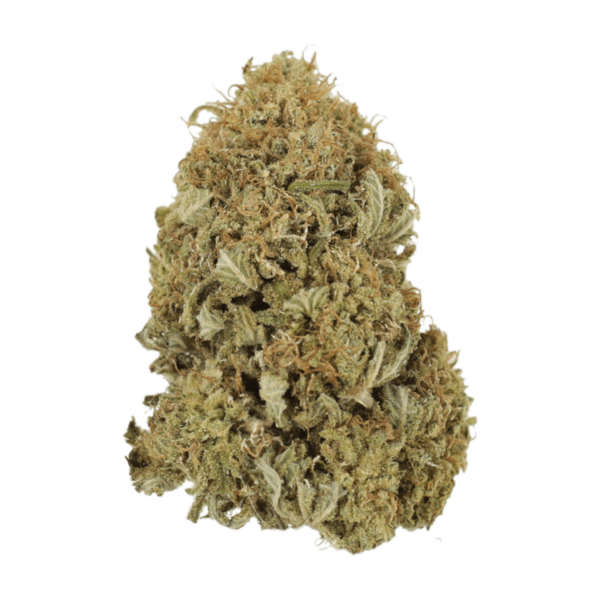 G13 | Hush Cannabis Club Canada