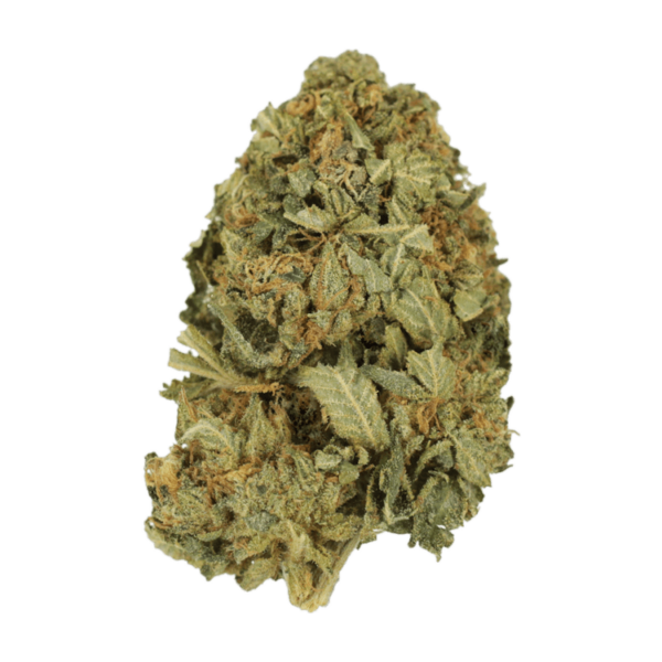G13 | Hush Cannabis Club Canada