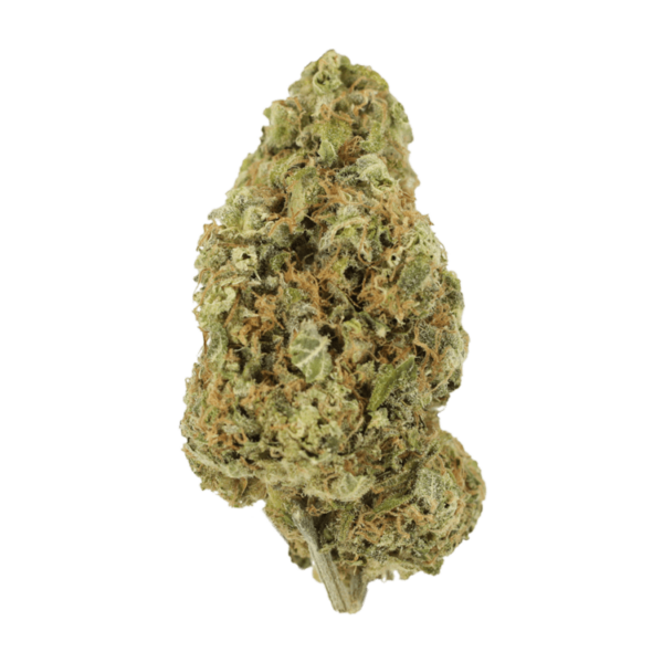 Sour Jack | Hush Cannabis Club Canada