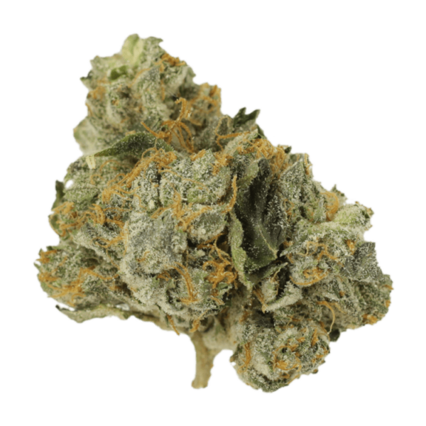 Mango Cream | Hush Cannabis Club Canada